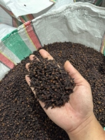 Fournisseur d'épices en gros, clous de girofle entiers séchés naturels à bon prix, clous de girofle secs pour la nourriture