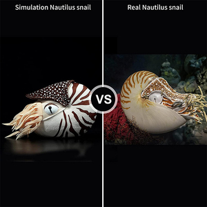 Nuovo Design Creativo: Peluche a Forma di Lumaca Nautilus da 8 Pollici, <span class=keywords><strong>Morbido</strong></span> <span class=keywords><strong>e</strong></span> Coccoloso, Regalo Perfetto per Bambini <span class=keywords><strong>e</strong></span> Decorazione Casa - Product Image 4