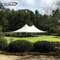 Celina 40X60 chapiteau gazebo auvent tente de fête commerciale tente de mariage pour 50 personnes tente chapiteau fête de mariage