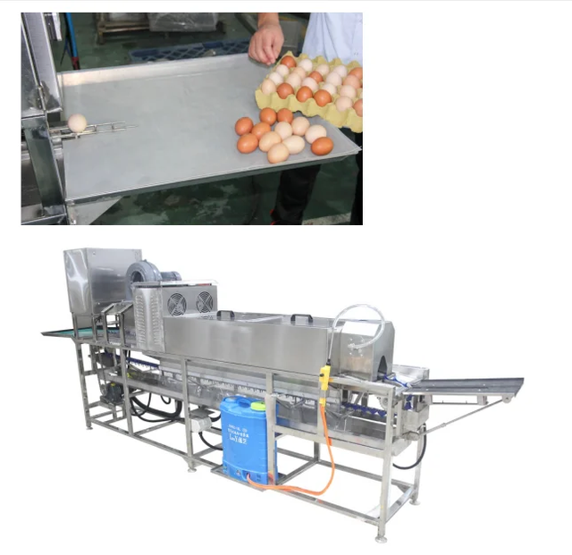 Professional Automatic Egg Washing Machine LED Candler Dispenser Sprayer for Eggs