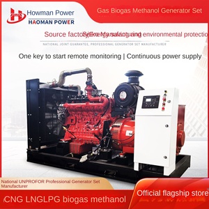 גנרטורים ביוגז וגז 200kW 250kW 300kW לחוות בעלי חיים ולשטחי נפט דגם 230400 50/60 הרץ - Product Image 2