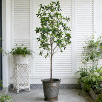Nouveaux produits : Plante artificielle de mangrove en plastique, 1,2 m, 1,5 m, 1,8 m, 2,1 m, Bonsaï en pot pour la décoration intérieure