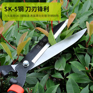 Cisailles à haies Old Buddy, lame en acier au carbone rivetée de qualité supérieure, diamètre de coupe 20-30 mm, structure papillon, outil de taille pour jardin - Product Image 1