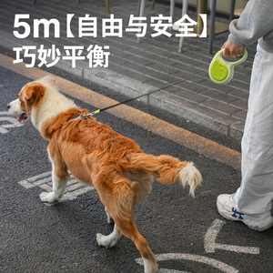 Automatic Retractable Dog Leash 5m Green No Light Small Pet Walking <b>Rope</b> - Product Image 3
