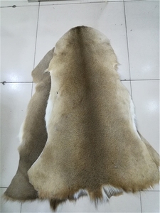 Piel de Ciervo Entera, Piel de Ciervo Rojo, Piel de Ciervo Completa, Material para Atado de Moscas, Piel para Pesca con Mosca, Piel de Ciervo Natural Sin Teñir - Product Image 2