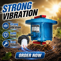 Moteur vibrant vertical asynchrone triphasé DY pour tamis rotatif 110V/220V Garantie 1 an