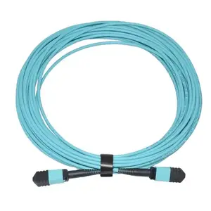 24Core 1M/2M/3M/5 M/7M/10M MPO mâle à M Type A/B 50/125 MM OM3 24 fibres 3.0mm LSZH Mini cordon de raccordement de coffre rond câble