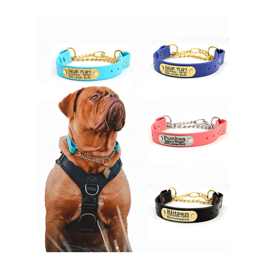 Pastel Fi Compatible Quick Release Adjustable Slip Lead 100% Odor & Water proof Pink Custom Dog Collar With Nameplate