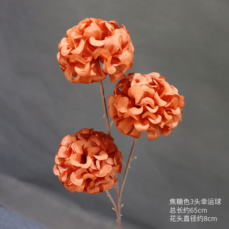 คาราเมลสีลูกบอลนำโชค3หัวหนึ่งสาขา