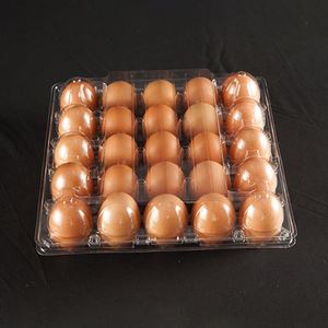 Bandeja para Huevos de Plástico Transparente al Por Mayor, 25 Cavidades, Plástico PET Reciclable, Muestras Gratis - Product Image 1
