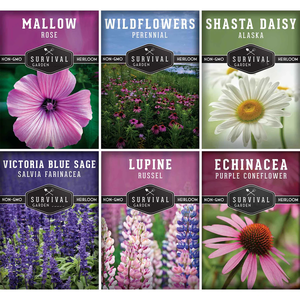 Shasta Daisy Echinacea Russell Lupin Rose Mauve Bleu Sauge <span class=keywords><strong>Vivace</strong></span> Mélange de Fleurs Sauvages pour Jardins Semences de Fleurs <span class=keywords><strong>en</strong></span> <span class=keywords><strong>Pot</strong></span> - Product Image 1