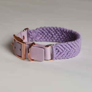 Collare per cani Hundehalsband stile Duo in PVC <span class=keywords><strong>Makrame</strong></span> regolabile collare per cani con cinturino in Pvc - Product Image 3