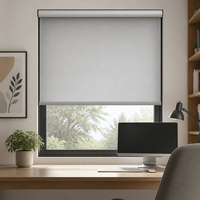 Stores enrouleurs semi-occultants sans cordon en tissu japonais, couleur personnalisée, filtrant la lumière du jour, pour fenêtres de hall d'hôtel