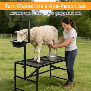 <span class=keywords><strong>Support</strong></span> de traite pour chèvres avec bac à alimentation, poteau réglable pour moutons, plateforme de coupe de sabots pour toilettage et tonte, équipement d'élevage - Product Image 3