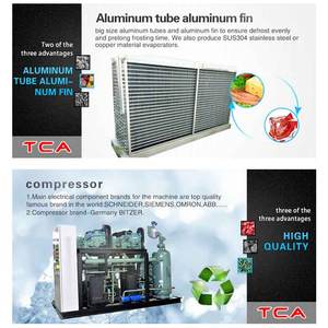 TCA automatique en acier inoxydable Blast équipement de congélation Tunnel congélateur haricots verts usines de fabrication utilisations agricoles - Product Image 5