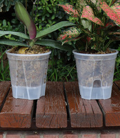 Perlengkapan Kebun Pot Anggrek Plastik Transparan Ramah Lingkungan dengan Sistem Penyiraman Otomatis dan Drainase untuk Pembibitan Tanaman di Rumah