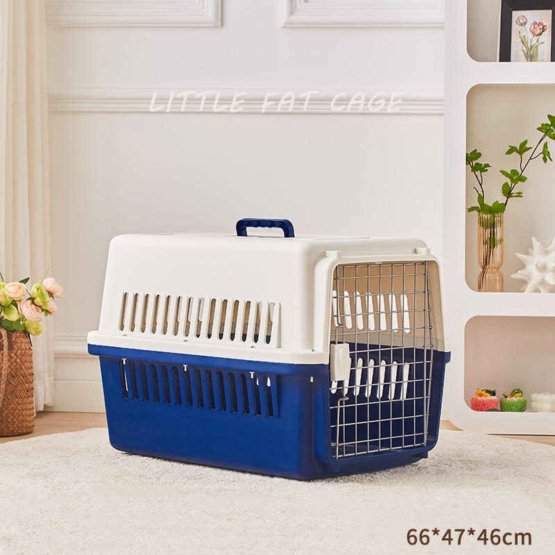 สีน้ำเงินและสีขาวหมายเลข4