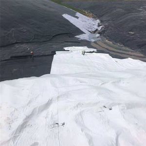 Nhà Máy Giá rẻ nhất 100g-800g Filament polyester không wovengeotextile vải cho đường - Product Image 3