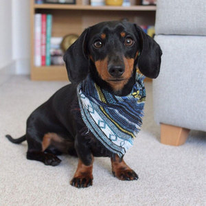 Pañuelo cuadrado triangular para mascotas, Bandana lisa con logotipo personalizado, <span class=keywords><strong>Collar</strong></span> de lazo para perro, bufandas para cabeza - Product Image 6