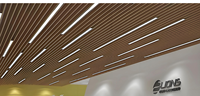 Fabriqué en Chine, tube carré de 2,5 pouces en alliage d'aluminium, plafond moderne résistant au feu, imperméable, haut de gamme, décoratif pour hôtel, villa, centre commercial