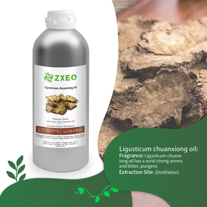 Suministro al por Mayor de <span class=keywords><strong>Aceite</strong></span> de Ligusticum Chuanxiong 100% Natural - Product Image 4