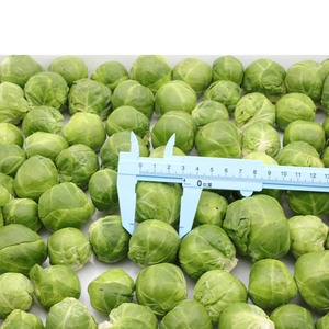 Sinocharm-germinación <span class=keywords><strong>de</strong></span> <span class=keywords><strong>coles</strong></span> <span class=keywords><strong>de</strong></span> buena calidad, <span class=keywords><strong>planta</strong></span> <span class=keywords><strong>de</strong></span> <span class=keywords><strong>coles</strong></span> <span class=keywords><strong>de</strong></span> buena calidad, con certificación IQF - Product Image 4