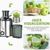 Elektrische commerciële & huishoudelijke draagbare slowjuicer van roestvrij staal met automatische pulp-afvoer