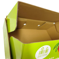 Gecoat Papier Landbouw Verpakking Recyclebare Vietnam Kartonnen Dozen Fruit Kartonnen Doos Golfkarton Fruit & Groente