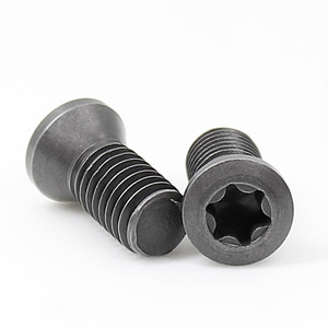 LOT DE 50 Vis Torx M25 X 6 Mm Pour Inserts En Carbure De Haute Qualité