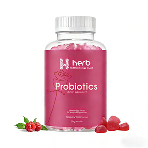 Gummies Probiotiques-Multivitamines ODM/OEM pour la Santé Digestive et le Soutien Immunitaire des Adultes, 60 unités, 2 par dose, Prébiotiques et Minéraux - Product Image 1