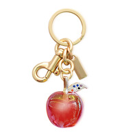 Nouveau Porte-clés Pomme Créatif 2025 AliExpress Transfrontalier, Exquis, Tendance, Moderne, Minimaliste en Résine et Acier Inoxydable