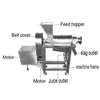 Hoge Kwaliteit Commerciële Mango Sap Vruchtensap Maken Citroen Juicer Extractor Machine Voor Mango Kers