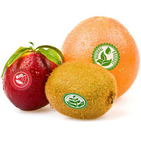 Autocollant d'étiquette auto-adhésif de boîte de fruit alimentaire biodégradable imprimé personnalisé pour l'emballage alimentaire