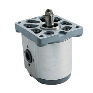 Moteurs hydrauliques et pompes à engrenages de petite taille, accessoires spécifiques pour machines de nettoyage routier - Product Image 1