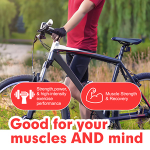 OEM Buy Bulk High Quality <b>Creatine</b> Monohydrate Powder Builds Lean Muscle Cognitive Function Generates Muscular Power - Product Image 5