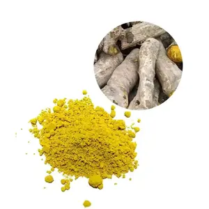 High Quality Manufacturer Supply Pure Natural Berberine Hcl