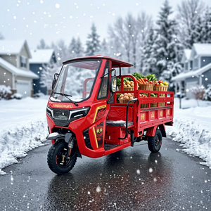 Tricycle KungFu <span class=keywords><strong>Tiger</strong></span>-Rui / Vente Flash / Tricycle à Trois Roues / <span class=keywords><strong>200cc</strong></span> / Tricycle à 3 Roues Droites / <span class=keywords><strong>Moto</strong></span> Tricycle / Alimentation à Essence / NOUVEAU 2026 - Product Image 1