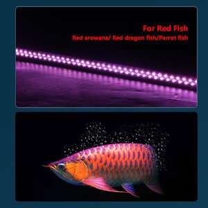 Luz LED para Acuario, Espectro Completo, Cambio <span class=keywords><strong>de</strong></span> Color, Clasificación IP65, Ra90, 1000 Lúmenes, para Peceras <span class=keywords><strong>de</strong></span> Arowana Roja, Koi y Peces Tropicales - Product Image 3