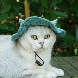 Chongtapet - Sombrero de vaquero monocromático para mascotas, sombrero de verano para gatos, para uso en exteriores - Product Image 3