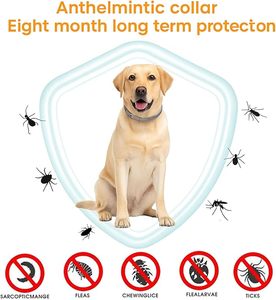 <span class=keywords><strong>Collare</strong></span> per la prevenzione delle pulci e delle zecche consigliato dal veterinario morbido e stile semplice per cani di età superiore a 18 libbre - Product Image 4