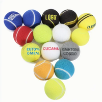 Jouets pour chiens en caoutchouc personnalisés avec logo imprimé sur mesure, pour l'entraînement et le jeu sur la plage, pour lancer et jouer