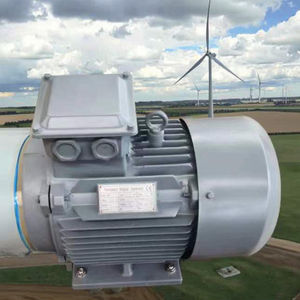 पवन ऊर्जा रूपांतरण के लिए एक स्थायी चुंबक जनरेटर - Product Image 4