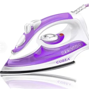 China Professional Manufacture Wholesale Flat Irons 2021 Steam Iron On Sale