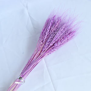 <span class=keywords><strong>Bouquet</strong></span> d'herbe séchée du Yunnan, plantes naturelles, oreilles <span class=keywords><strong>de</strong></span> <span class=keywords><strong>blé</strong></span> véritable, multicolores, <span class=keywords><strong>mariage</strong></span>, fête des mères, Pâques, Noël, Halloween, maison - Product Image 5