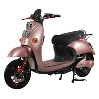 Electric Motorbike Conversion Kit with Battery 1000w