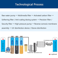 Vente flash - Machine de traitement de l'eau industrielle de 250 litres par heure - Système de purification de l'eau par osmose inverse - Système d'eau RO