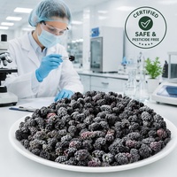 Mora congelada IQF Halal de Grado A al por mayor |   Mora Entera Congelada 100% Natural para Smoothies y Rellenos de Repostería