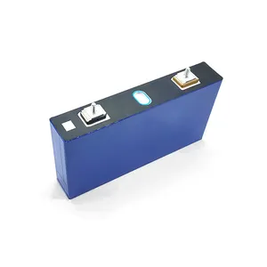 Brandneue bak 100Ah 3,2 V LiFePO4-Batteriezelle Deep Cycle Lithium batterien mit hoher Energie dichte LiFePO4
