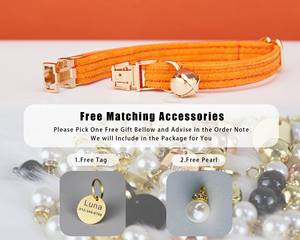 Ensemble de laisse en velours côtelé orange personnalisé pour chat et petit chien, étiquette de nom de chiot chaton gravée gratuitement, cloche en or, animal de compagnie - Product Image 6