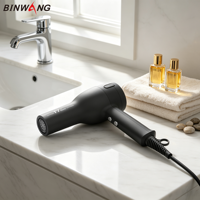 Sèche-cheveux professionnel Binwang Master Stylist 2400W haute vitesse ionique 9 modes avec fonction air froid pour hôtels et usage extérieur